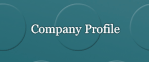 Auscrane - Company Profile